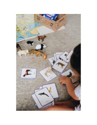 Mini-Mondy Animaux – Observe Éditions – Coffret vocabulaire pour découvrir les animaux dès 2 ans.