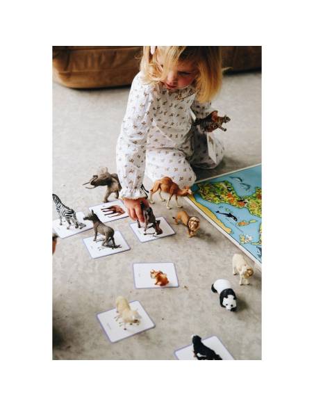 Mini-Mondy Animaux – Observe Éditions – Coffret vocabulaire pour découvrir les animaux dès 2 ans.