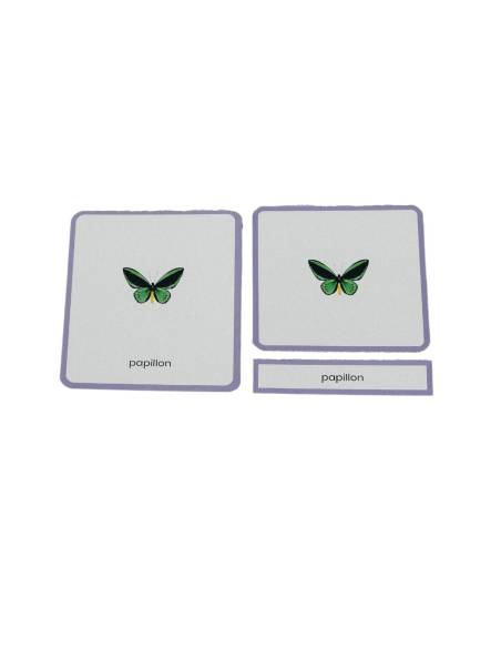 Mini-Mondy Animaux – Observe Éditions – Coffret vocabulaire pour découvrir les animaux dès 2 ans.