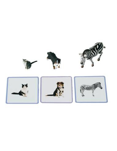Mini-Mondy Animaux – Observe Éditions – Coffret vocabulaire pour découvrir les animaux dès 2 ans.