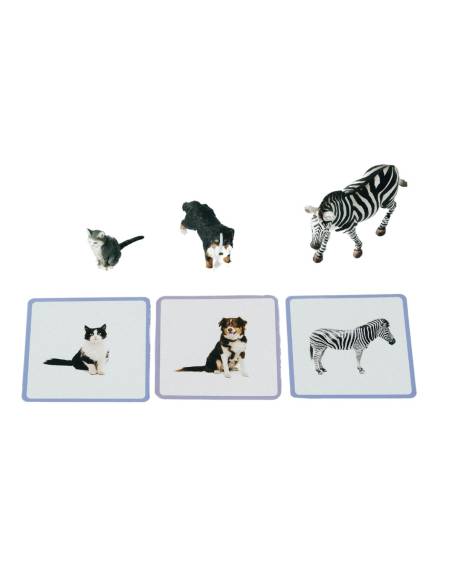 Mini-Mondy Animaux – Observe Éditions – Coffret vocabulaire pour découvrir les animaux dès 2 ans.