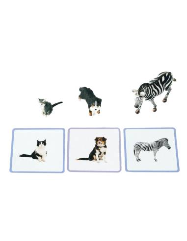 Giga-Mondy - Observe Montessori - Coffret complet pour enrichir le vocabulaire