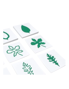 Cartes des formes de feuilles - GAM Montessori - 1MM211 2