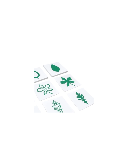 carte des  formes de feuilles