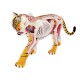 Anatomie 4D : tigre