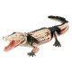 Anatomie 4D : crocodile