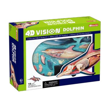 Anatomie 4D : dauphin