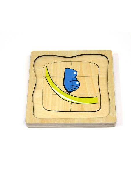 Puzzle en bois : cycle de la vie du papillon