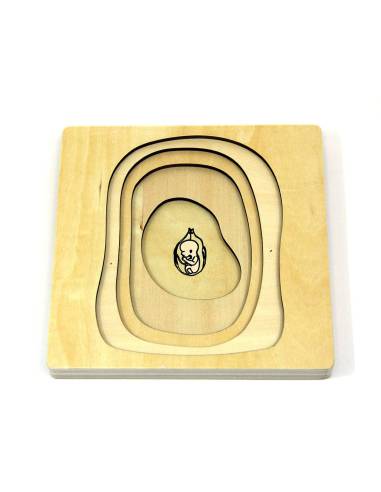 Puzzle en bois Montessori du cycle de vie de la femme naissance