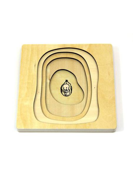 Puzzle en bois Montessori du cycle de vie de la femme naissance
