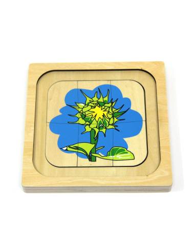 Puzzle en bois du cycle de vie du tournesol Montessori – botanique et sciences naturelles