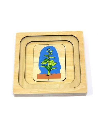 Puzzle Montessori en bois représentant le cycle de vie du tournesol, un support éducatif et ludique pour découvrir la botanique