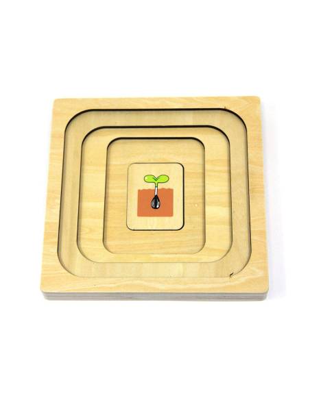 Puzzle en bois : cycle de la vie du tournesol