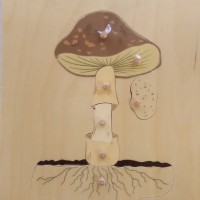 Puzzle du champignon