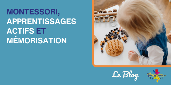 Montessori, apprentissages actifs et mémorisation : autonomie, neurosciences et apprentissage durable